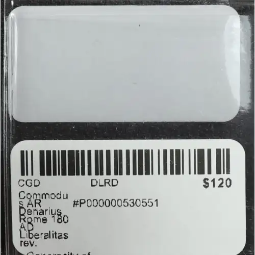 Ancient Roman Coin (3)