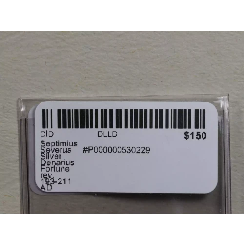 Ancient Roman Coin (3)