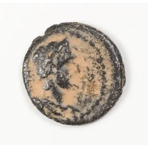 Ancient Roman Coin
