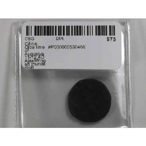 Ancient Roman Coin (3)