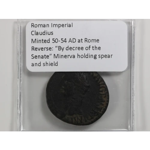 Ancient Roman Coin (4)