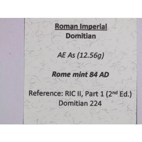 Ancient Roman Coin (3)