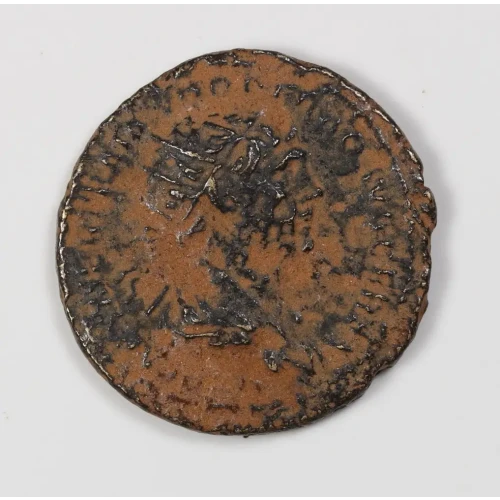 Ancient Roman Coin (2)