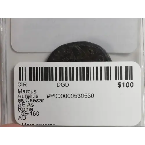 Ancient Roman Coin (2)