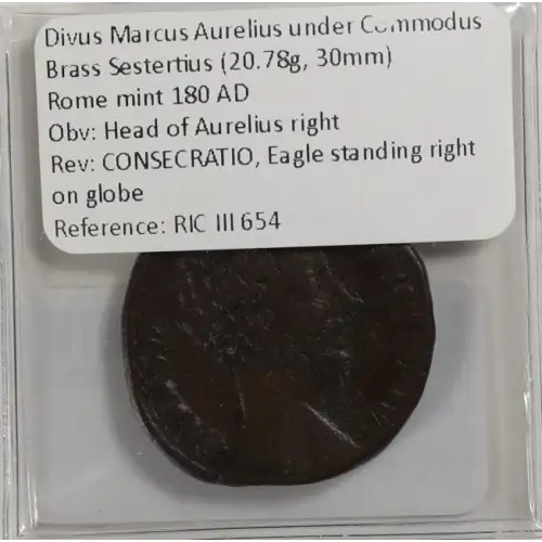 Ancient Roman Coin (4)