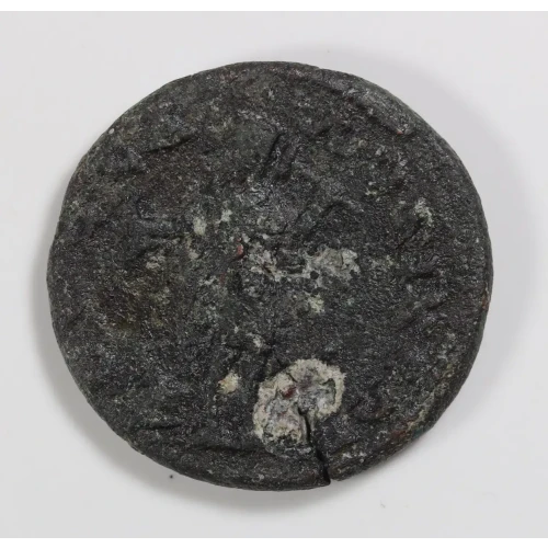 Ancient Roman Coin