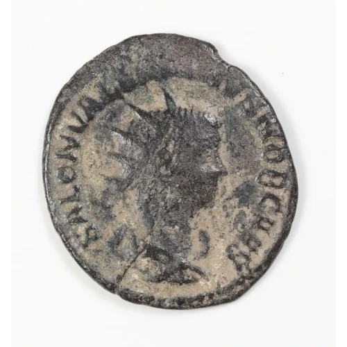 Ancient Roman Coin