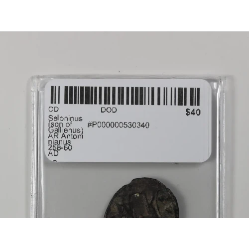 Ancient Roman Coin (3)