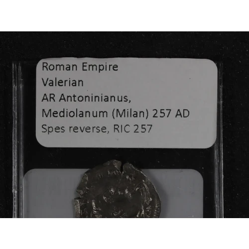 Ancient Roman Coin (3)