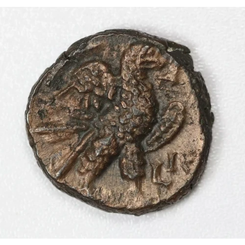 Ancient Roman Coin