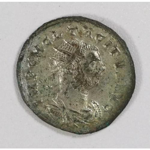 Ancient Roman Coin (3)