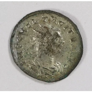 Ancient Roman Coin (3)