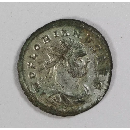 Ancient Roman Coin