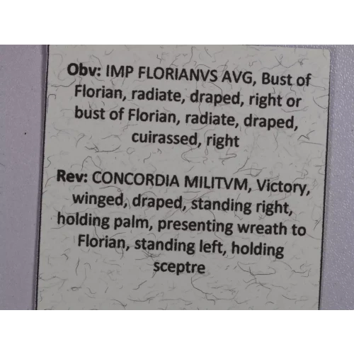 Ancient Roman Coin (5)