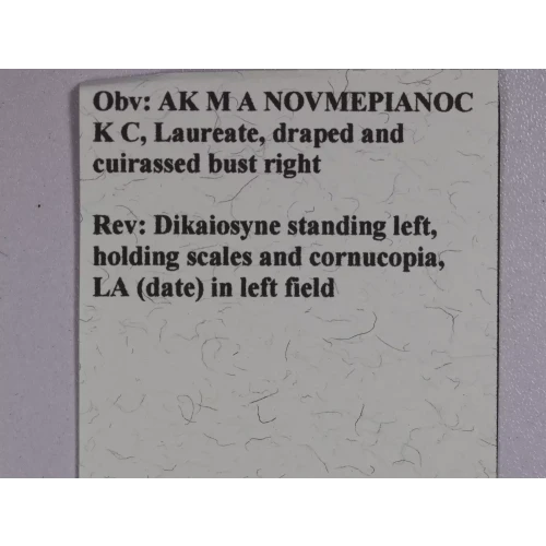 Ancient Roman Coin (5)