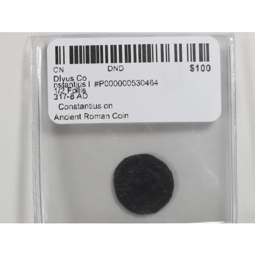 Ancient Roman Coin (4)