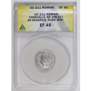 Ancient Roman Coin