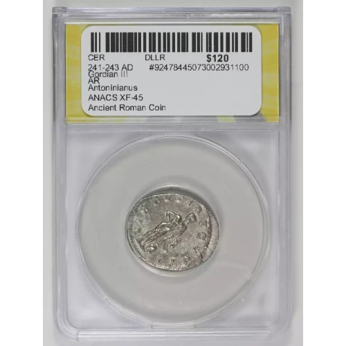 Ancient Roman Coin (2)