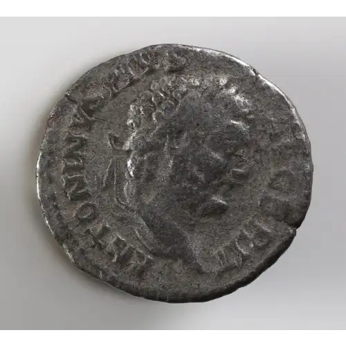 Ancient Roman Coin (2)