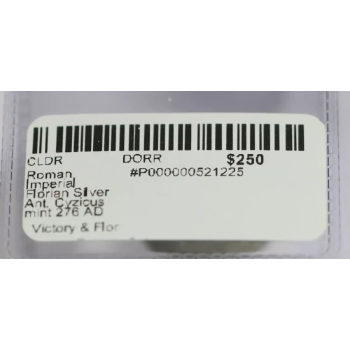 Ancient Roman Coin (3)