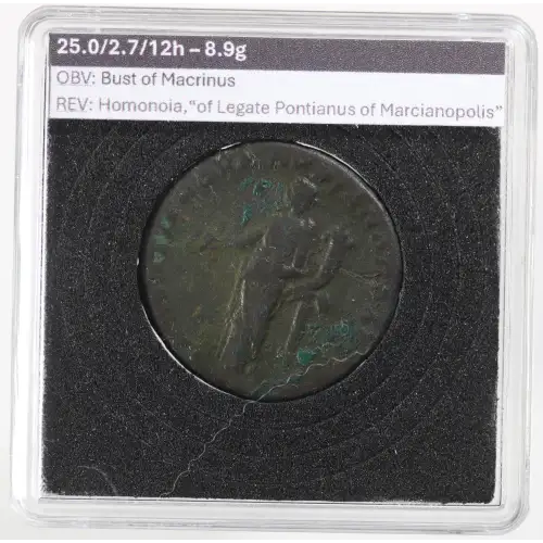 Ancient Roman Coin (3)