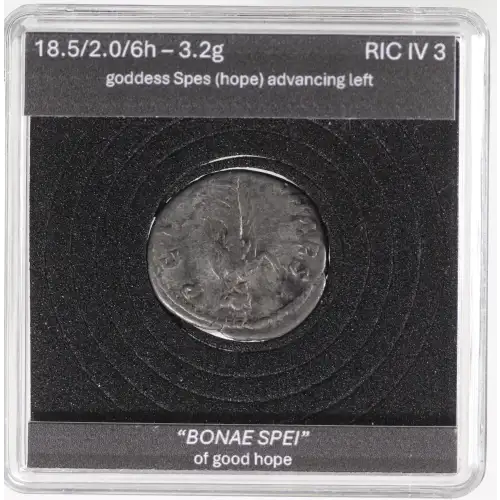 Ancient Roman Coin (3)