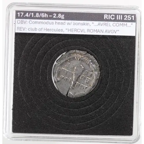 Ancient Roman Coin (3)