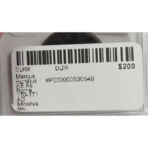 Ancient Roman Coin (2)