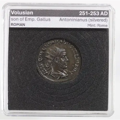 Ancient Roman Coin (2)