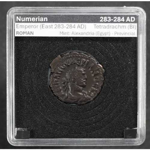 Ancient Roman Coin (7)