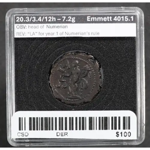 Ancient Roman Coin (4)