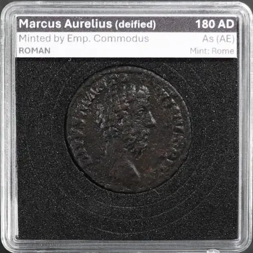 Ancient Roman Coin (2)