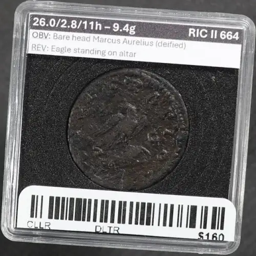 Ancient Roman Coin