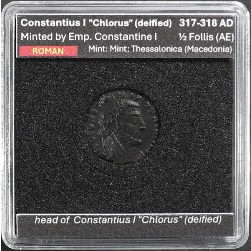 Ancient Roman Coin (6)