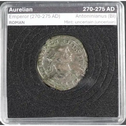 Ancient Roman Coin (2)