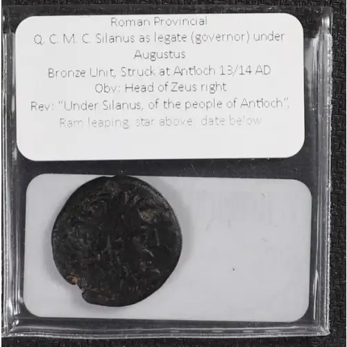Ancient Roman Coin (3)