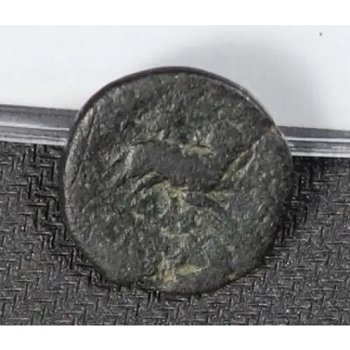Ancient Roman Coin (4)