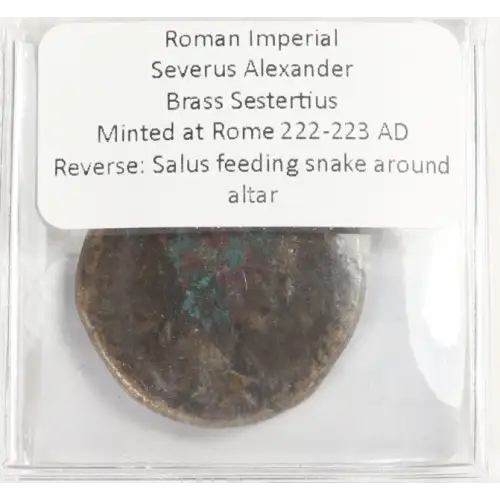 Ancient Roman Coin (4)