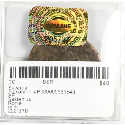 Ancient Roman Coin (3)