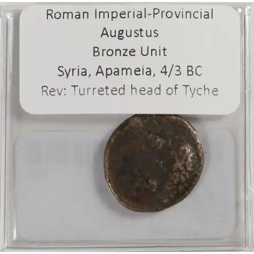 Ancient Roman Coin (3)