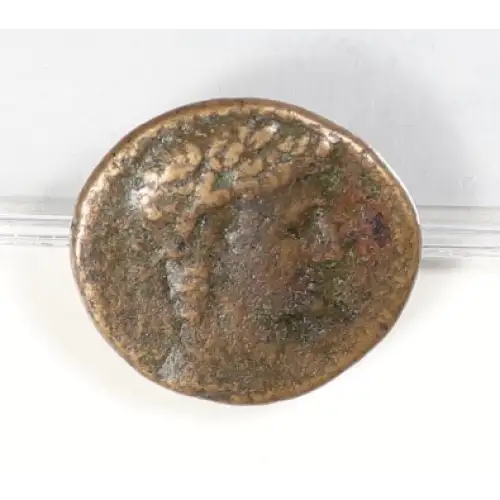 Ancient Roman Coin (2)