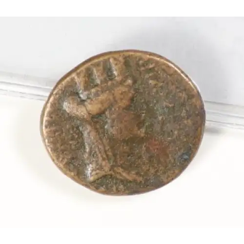 Ancient Roman Coin