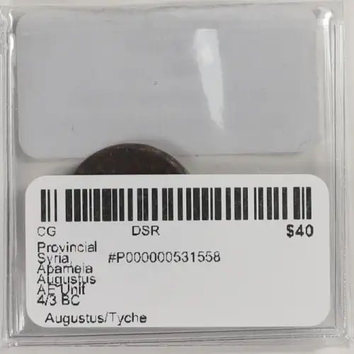 Ancient Roman Coin (4)