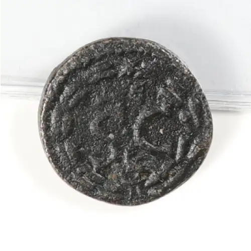 Ancient Roman Coin (2)