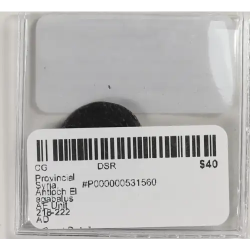 Ancient Roman Coin (4)