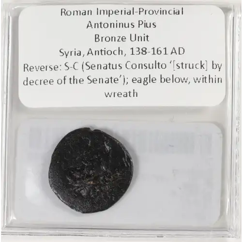 Ancient Roman Coin (4)