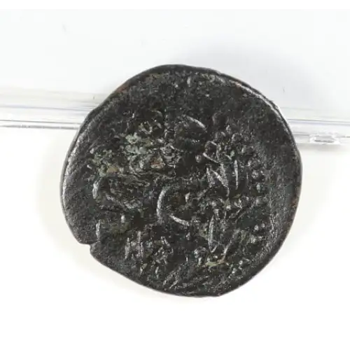 Ancient Roman Coin (2)
