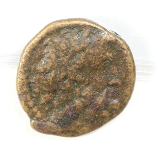 Ancient Roman Coin