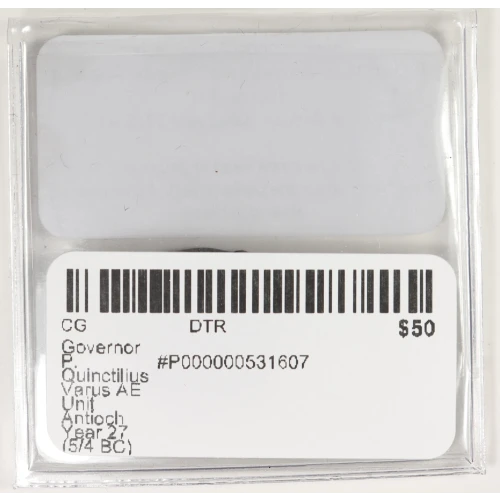 Ancient Roman Coin (3)