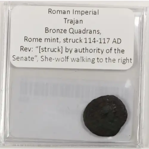 Ancient Roman Coin (3)